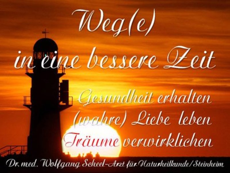 Flyer zum eigenen Vortrag - Wege in eine bessere Welt